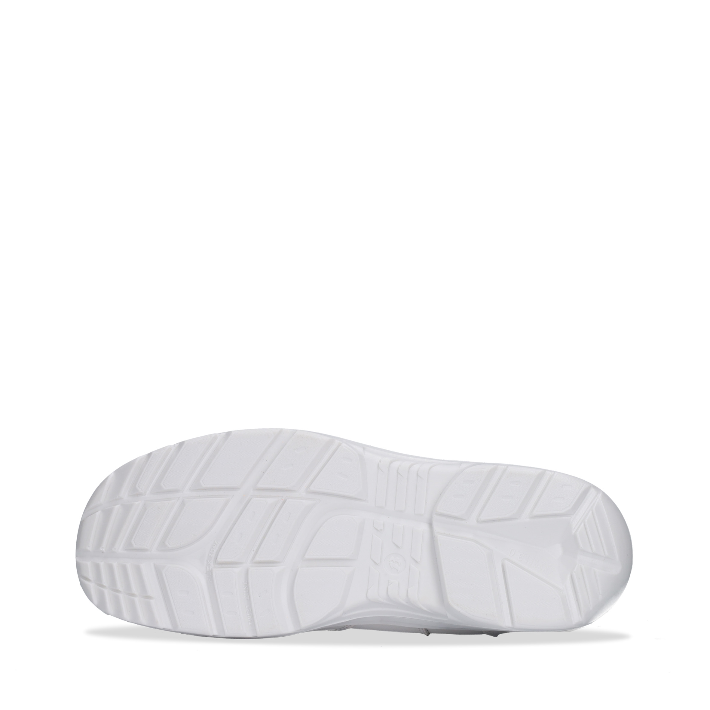 Hercules White - Image 3